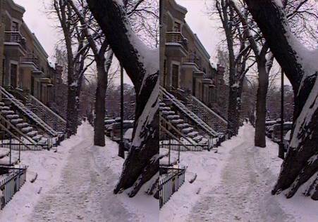 3D2_montreal_rue_neige.jpg (33844 octets)